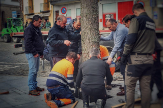 COLOCACION DEL PINO GABARRERO. EL ESPINAR GABARREROS 2025