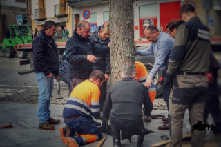 COLOCACION DEL PINO GABARRERO. EL ESPINAR GABARREROS 2025