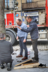 COLOCACION DEL PINO GABARRERO. EL ESPINAR GABARREROS 2025