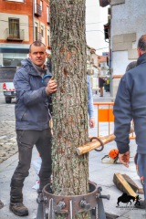COLOCACION DEL PINO GABARRERO. EL ESPINAR GABARREROS 2025