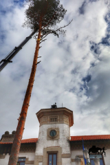 COLOCACION DEL PINO GABARRERO. EL ESPINAR GABARREROS 2025